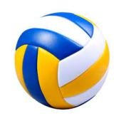 Balon de voleibol